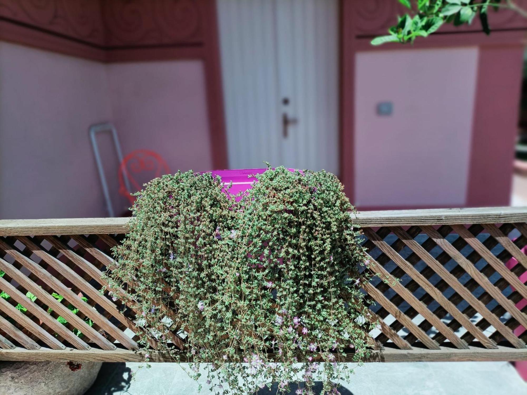 אוריסטאנו Maison Belle Epoque & Suites מראה חיצוני תמונה